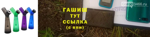шишки Усолье-Сибирское