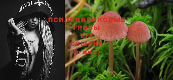 синтетический гашиш Арсеньев